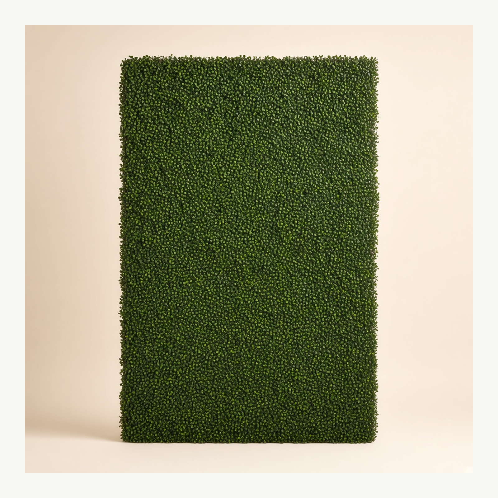 4 × 8 Green Wall