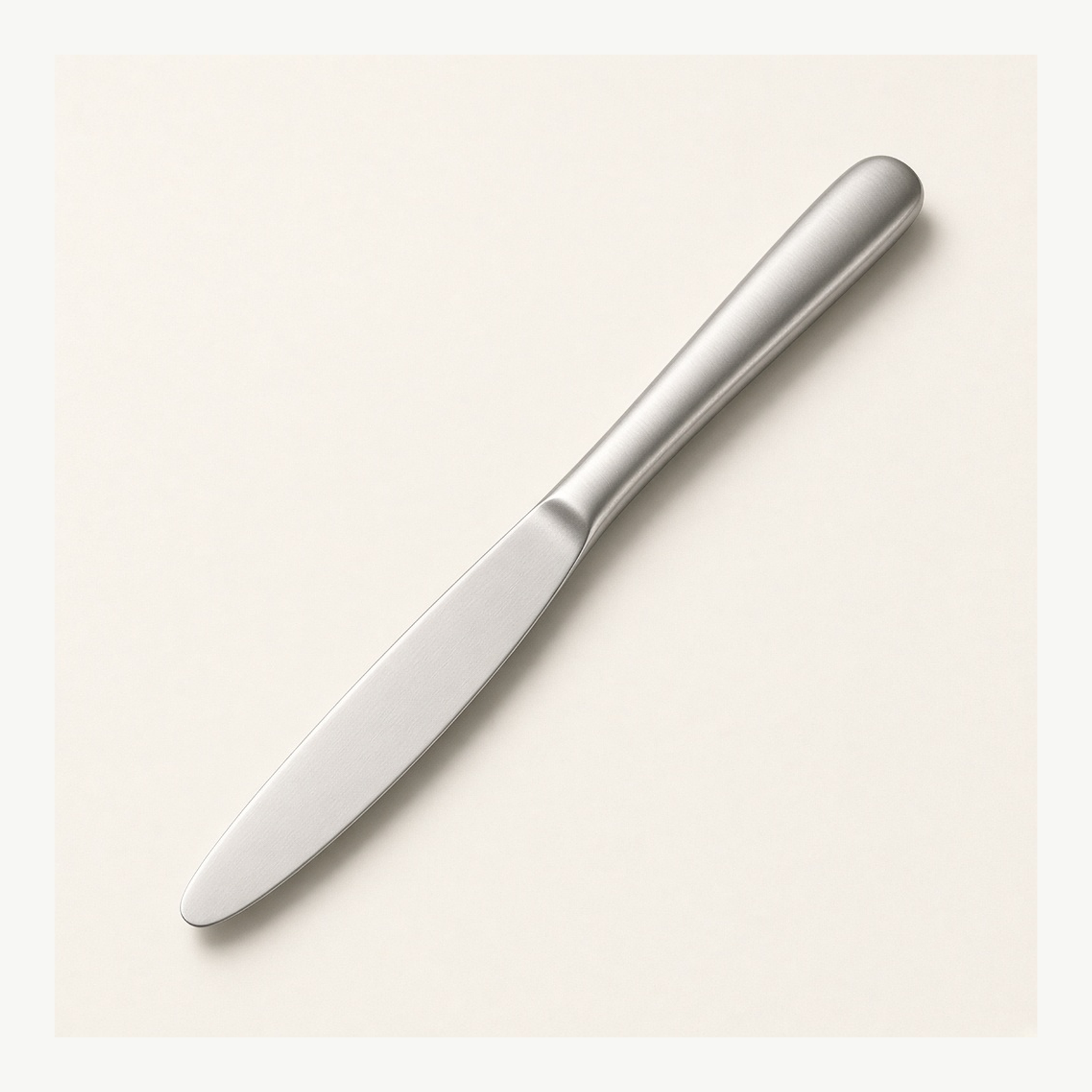 Stainless Steel Dinner Knife